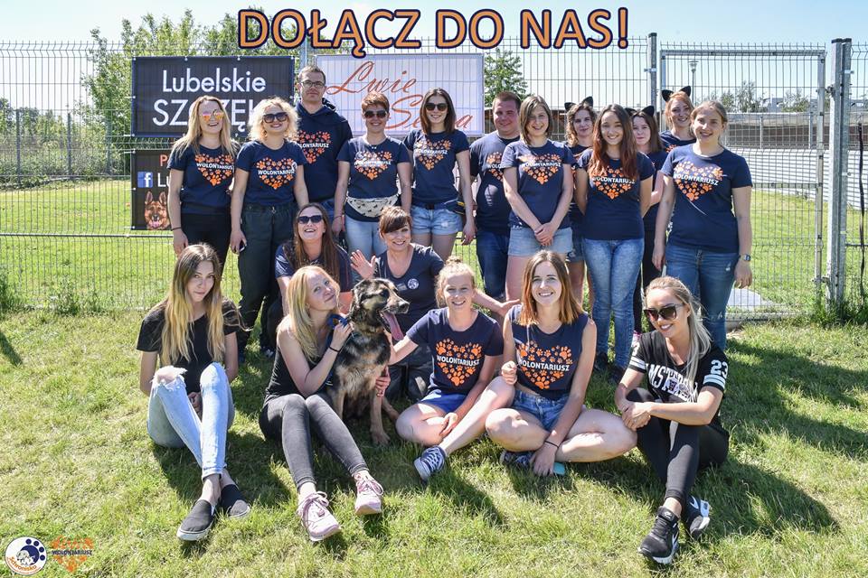 Zostań wolontariuszem w schronisku dla bezdomnych zwierząt w Lublinie.