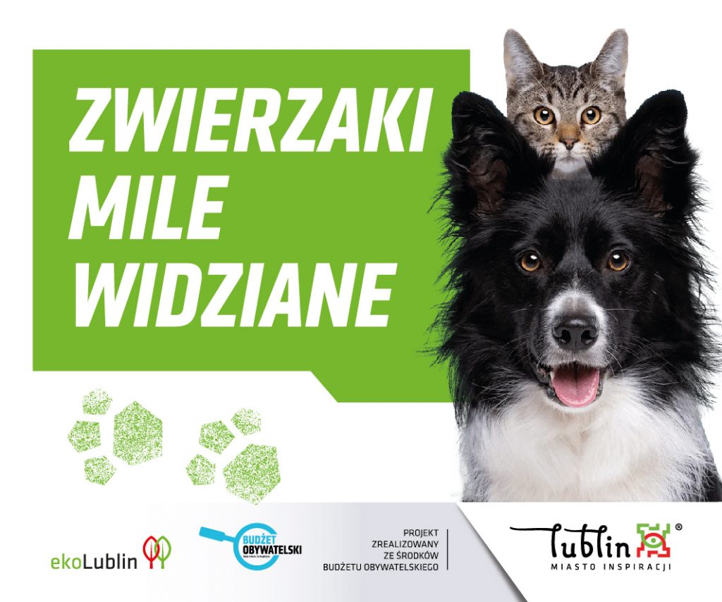 W Lublinie powstaje sieć „Miejsc przyjaznych zwierzętom”