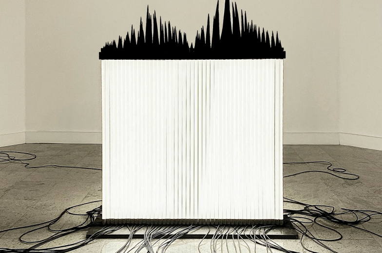 Wernisaż w Galerii Białej Centrum Kultury w Lublinie: Krzysztof Franaszek: Blackout
