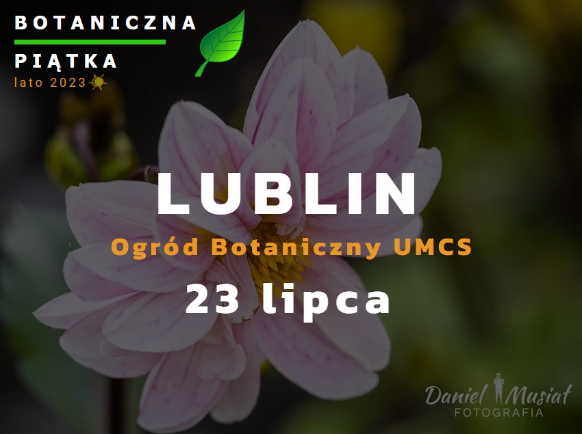 Botaniczna Piątka Lublin – wydarzenie sportowe