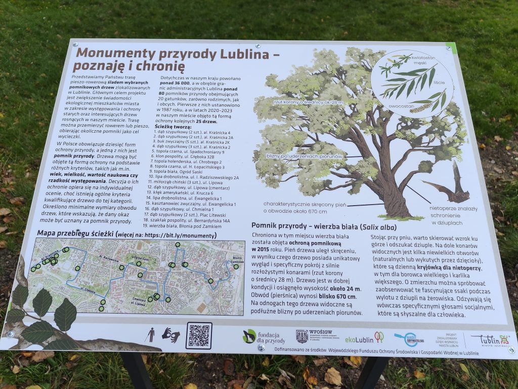 „Monumenty przyrody” – nowa ścieżka przyrodnicza w Lublinie